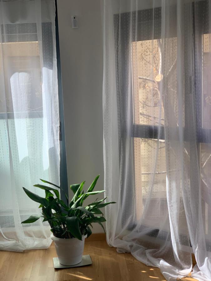 New, Cozy Apartment Plaza Del Pilar-Fuenclara Zaragoza Exterior photo